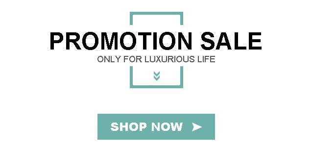 Promotion Sale 1
